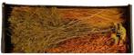 Droogbloempakket Dried flowers mix tray Orange, Ophalen of Verzenden, Nieuw