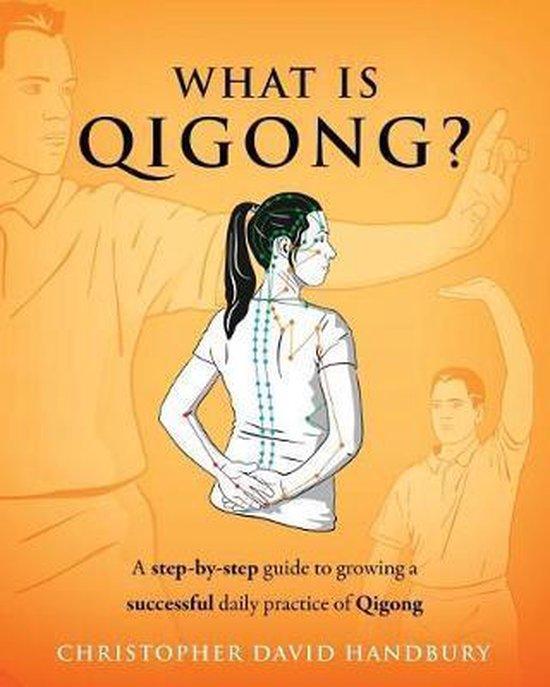 9781999621827 What Is Qigong?- What is Qigong?, Boeken, Studieboeken en Cursussen, Nieuw, Verzenden