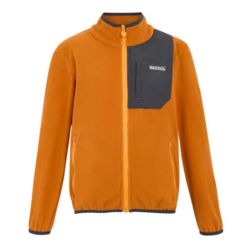 -41% Regatta  Regatta Kinder/kids frankie full zip fleecejac, Kinderen en Baby's, Kinderkleding | Maat 146, Nieuw, Verzenden
