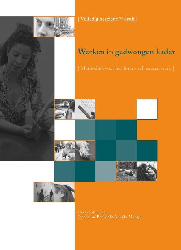 Werken in gedwongen kader 9789085602675, Boeken, Studieboeken en Cursussen, Zo goed als nieuw, Verzenden