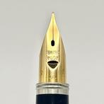 Pilot - Hairline Finish - 18K gold nib (F) - Vulpen, Nieuw