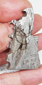 Aletai. (zonder reserveprijs) IJzer meteoriet - 36.05 g