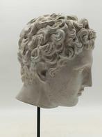 sculptuur, Testa di Eros - 33 cm - marmerstof, Antiek en Kunst