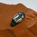 Byzantijns Brons Laat-Romeinse / Vroege Byzantijnse bronzen