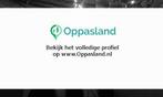 Ik ben giulia, 20 jaar oud en ik zoek oppaswerk in Voorth...