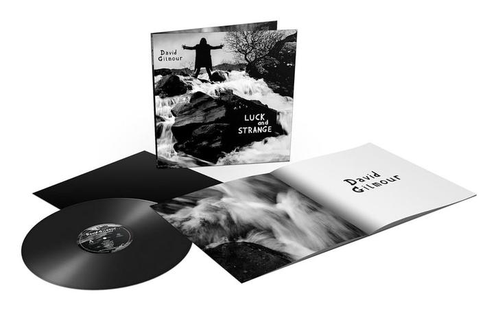 David Gilmour - Luck And Strange - LP, Cd's en Dvd's, Vinyl | Overige Vinyl, Ophalen of Verzenden