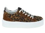 -35% Floris van Bommel  Floris van Bommel Sfw-10106  maat 41, Verzenden, Nieuw