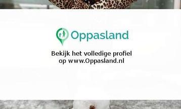 Thijs zoekt een oppas in Wormerveer voor 1 kind. beschikbaar voor biedingen