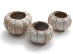 Coco Pumpkin Frosted zak 3 stuks, Huis en Inrichting, Ophalen of Verzenden, Nieuw