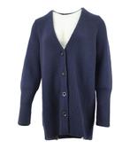 Icebreaker Vest in maat XS Blauw, Icebreaker, Verzenden, Zo goed als nieuw, Blauw