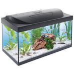 Tetra Starter Line Led | 54L | 60 x 30 x 30CM Aquarium, Nieuw, Ophalen of Verzenden