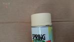 Spring pro florist champagne deco spray 400cc bloemen, Hobby en Vrije tijd, Ophalen of Verzenden, Nieuw