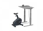 LifeSpan bureaufiets + bureau C3-DT7 - 38 (96 cm) grijs