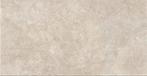 Vloertegel/Wandtegel Taupe 60x120cm (Muurtegels), 60 cm of meer, Nieuw, Ophalen of Verzenden, 10 m² of meer