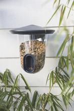 Singing Friend Feedr grijs, Dieren en Toebehoren, Ophalen of Verzenden, Nieuw