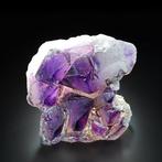 Uitzonderlijke Deep Purple AMETHYST Cluster uit Namibië, Verzamelen