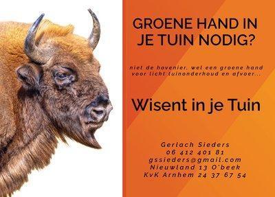 Tuinman / Tuinhulp zone Arnhem-Wageningen (Gld), Diensten en Vakmensen, Tuinmannen en Stratenmakers, Tuinonderhoud of Snoeiwerk