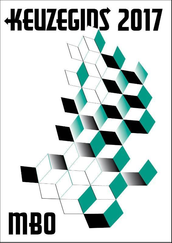 Keuzegids / 2017 MBO / Keuzegids 9789087610678, Boeken, Studieboeken en Cursussen, Gelezen, Verzenden