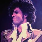 Govert de Roos - Prince Purple Rain Detroit, Antiek en Kunst