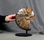 Uitstekende ammoniet met beide zijden schoongemaakt - op een, Verzamelen, Mineralen en Fossielen