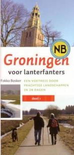Groningen voor lanterfanters 9789033007842 Fokko Bosker, Boeken, Verzenden, Zo goed als nieuw, Fokko Bosker