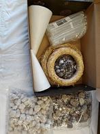 Kerstpakket startpakket hobby en bloemschikken lijmpistool, Hobby en Vrije tijd, Ophalen of Verzenden, Nieuw