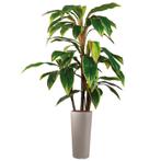 Cordyline kunstplant, H145cm, Huis en Inrichting, Kamerplanten, Ophalen of Verzenden