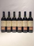 1996 Berberana, Viña Alarde - Rioja Crianza - 6 Flessen, Verzamelen, Wijnen, Nieuw