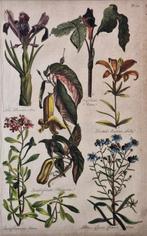 Sir John Hill (1714-1775) - The Vegetable System