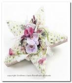Oasis bioline ster 40oase voor verse bloemen 40 x 5,5 cm, Ophalen of Verzenden, Nieuw