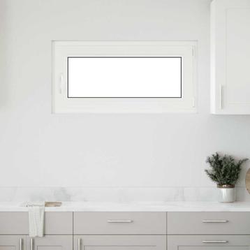 vidaXL Kelderraam RISOR 100x50 cm draai-kiep DIN rechts beschikbaar voor biedingen