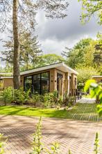 Recreatiewoningen te koop op vernieuwd park op de Veluwe, Chalet, Gelderland