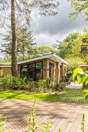 Recreatiewoningen te koop op vernieuwd park op de Veluwe beschikbaar voor biedingen