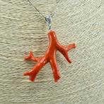 Bloedkoraal - Zilver - Ketting met hanger - Middellandse Zee, Nieuw