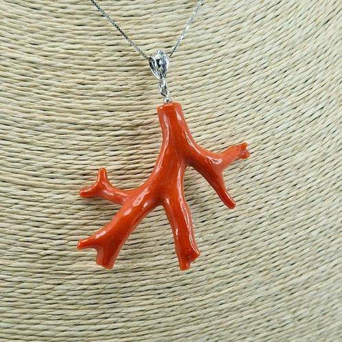 Bloedkoraal - Zilver - Ketting met hanger - Middellandse Zee, Verzamelen, Dierenverzamelingen