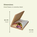Droogbloemen in Letterbox - Multi, Verzenden