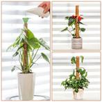 Mosstok kokosstok planten totem 50 cm / stuk opbinden van, Ophalen of Verzenden, Nieuw