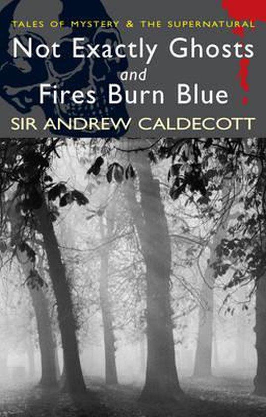 Not Exactly Ghosts 9781840225495 Sir Andrew Caldecott, Boeken, Taal | Engels, Gelezen, Verzenden