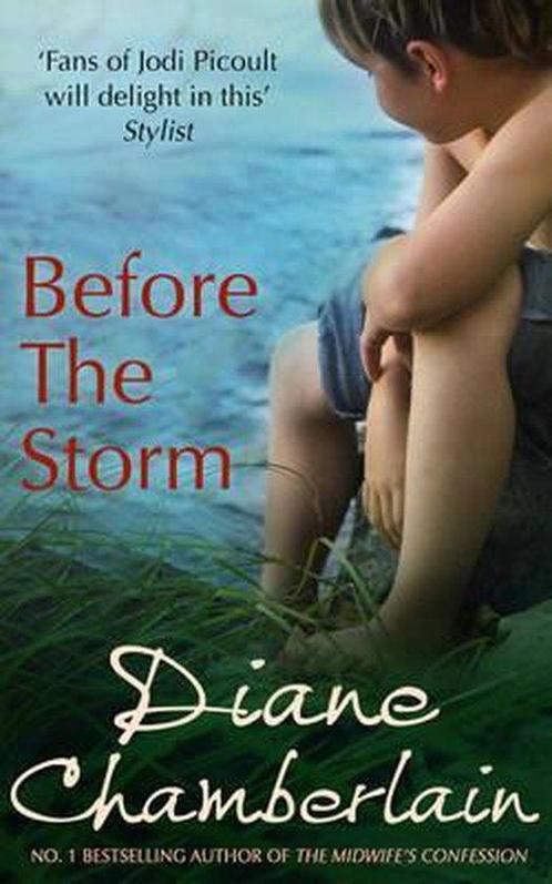 Before The Storm 9780778303381 Diane Chamberlain, Boeken, Overige Boeken, Gelezen, Verzenden