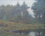 Edgar Farasyn (1858-1938) - Vijver in het bos