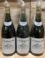 2024 Pouilly-Fumé de Ladoucette - Pouilly Fumé, Loire - 3, Nieuw