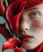 La Chibroneuse - Scarlet Silence - XL