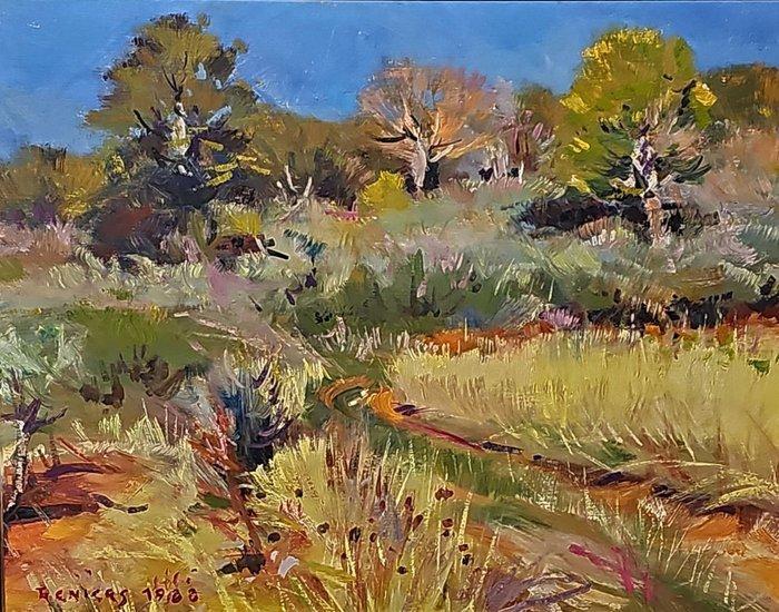 Antoine Reniers (1923-2013) - Zonnig landschap in de, Antiek en Kunst, Kunst | Schilderijen | Klassiek