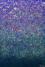 Parfen.D XL - NO RESERVE Twilight Blossoms