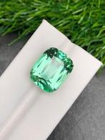 Zonder Minimumprijs Spodumeen - 29.32 ct - nternational, Nieuw