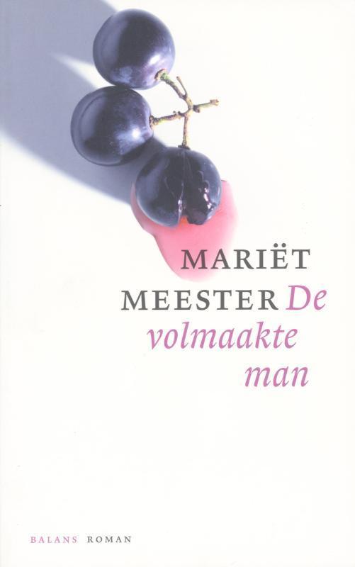 De volmaakte man 9789050187060 Mariët Meester, Boeken, Romans, Gelezen, Verzenden
