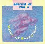 12 inch gebruikt - Alternative Radio - Valley Of Evergreen, Cd's en Dvd's, Verzenden, Zo goed als nieuw