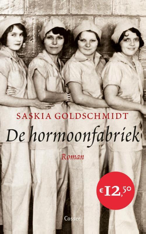 De hormoonfabriek 9789059364882 Saskia Goldschmidt, Boeken, Romans, Zo goed als nieuw, Verzenden