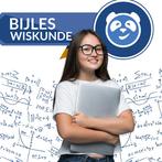 Wiskunde B begeleiding – Leiden