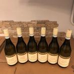 2023 Oddero, Riesling - Piëmont DOC - 6 Flessen (0.75 liter), Verzamelen, Wijnen, Nieuw